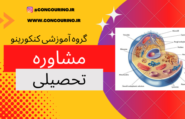 بهترین روش مطالعه زیست