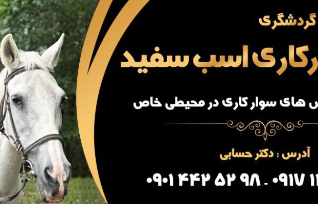 لیست باشگاه های سوارکاری شیراز